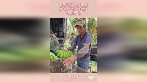 香蕉商视频,揭秘香蕉产业的秘密与商机