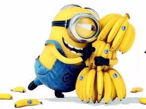 欧美大香蕉精品6,揭秘顶级影视盛宴