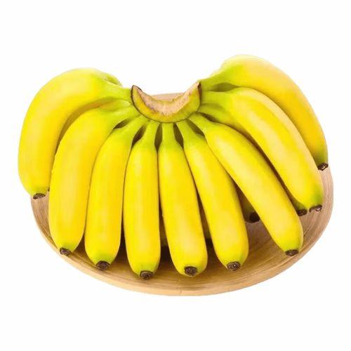 最新香蕉精品,探寻最新香蕉精品的甜蜜诱惑