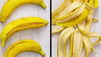 香蕉538在线精品,探索在线精品的无限魅力