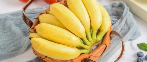 9年香蕉只做精品,香蕉精品之路