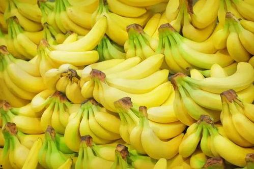 香蕉精品狼人